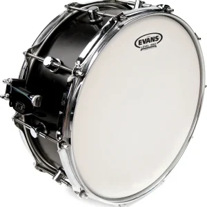 Evans B14GEN Genera 14 Online Kaufen