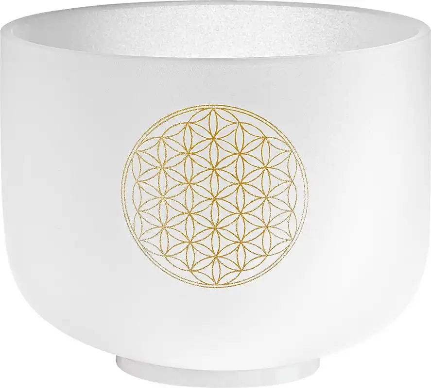 Neue Kollektion Meinl Sonic Energy CSB8FOL Kristallklangschale 8" / C# 432 Hz / Blume des Lebens