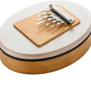 Hokema Sansula Basic Melody Preisknaller