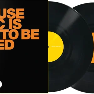 Markenware Serato Control Vinyl schwarz, Because Music