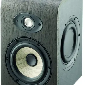 Focal Shape 50 Nur Für Kurze Zeit