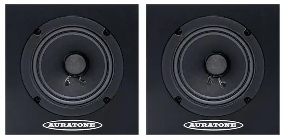 Günstig Auratone 5C Active Super Sound Cube Black -Paar-