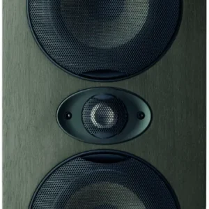 Garantierte Lieferung Focal Shape Twin