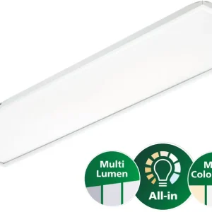 Sofort Bestellen PHILIPS CoreLine Panel gen6, All-in, 31 W, 22 W, 1200x30 mm, VPC, 2900 lm, 3100 lm, 3350 lm, 3600