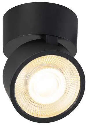 SLV KALU 2.0, Wand- und Deckenaufbauleuchte, PHASE, 3000 K, 10 W, 36°, schwarz Beliebt