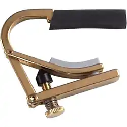 Markenprodukt C8b Partialcapo Drop D