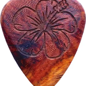 Kracherpreis Laser Tones Hibiscus