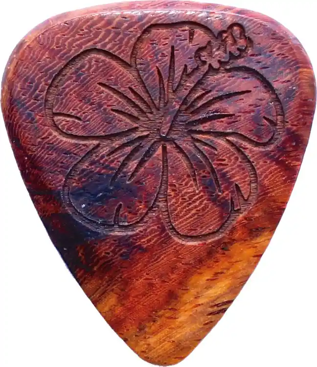 Kracherpreis Laser Tones Hibiscus