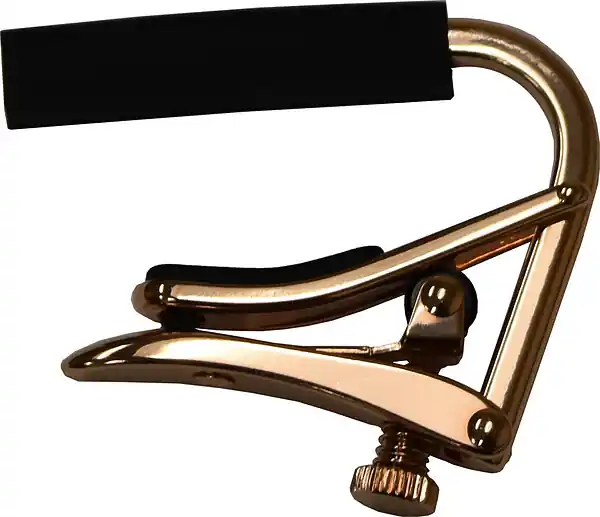 Super-Preis C1g rose royale Western Kapo