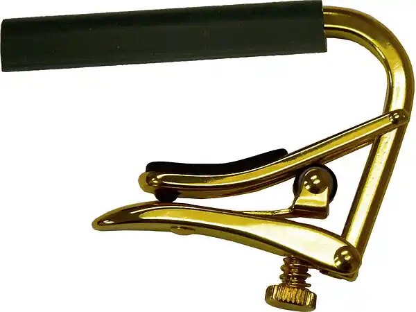 Schneller Versand C2g Capo Klassik royale gold