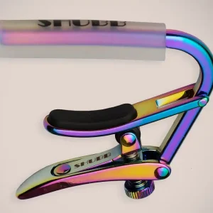 C1P Paua Pearl Western Kapo Nur Heute
