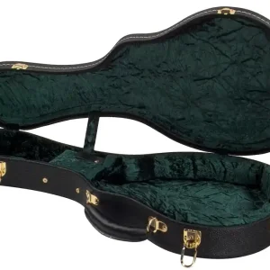 Sonderaktion CD-1520 F-Style hardshell