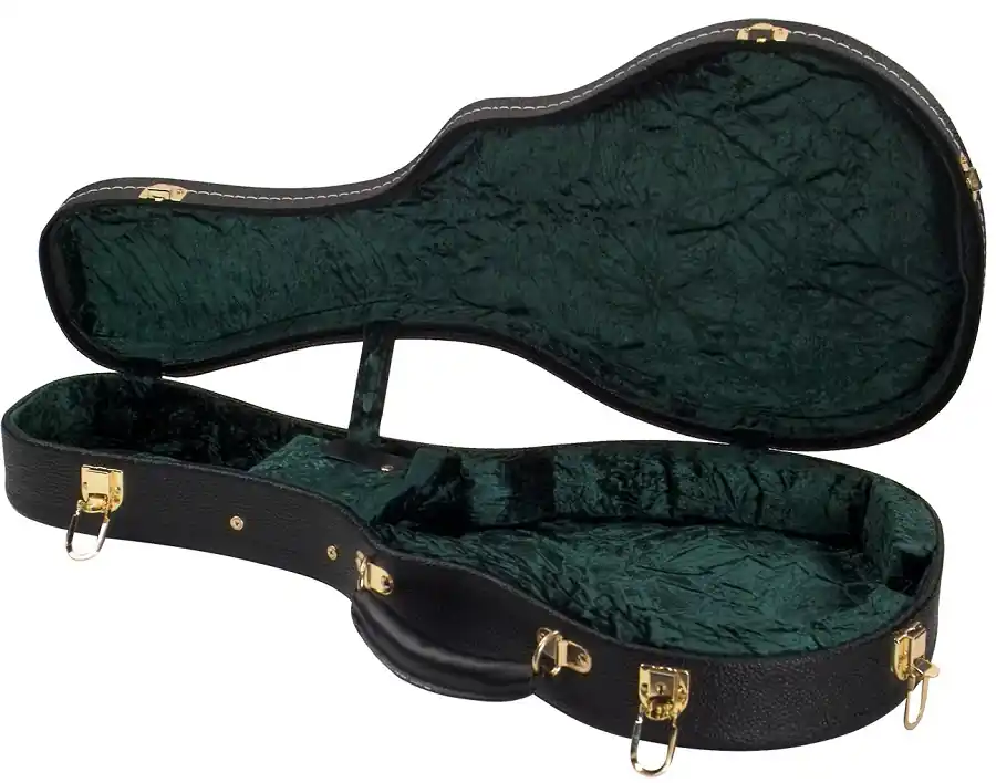 Sonderaktion CD-1520 F-Style hardshell