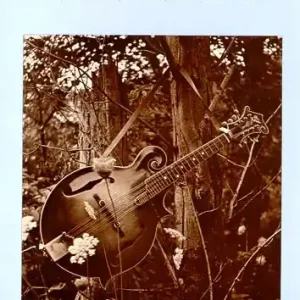 Nur Für Kurze Zeit OK62935 Bluegrass Mandolin