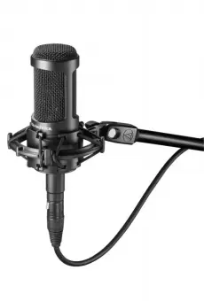 Audio Technica AT2050 Sonderangebot