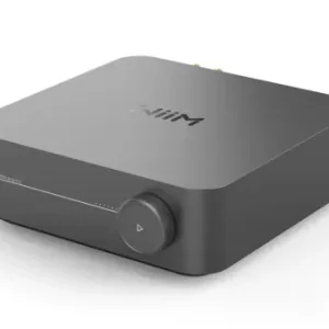 Top-Preis WiiM Amp Pro