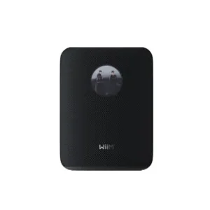 WiiM Sound Lite Schnäppchen