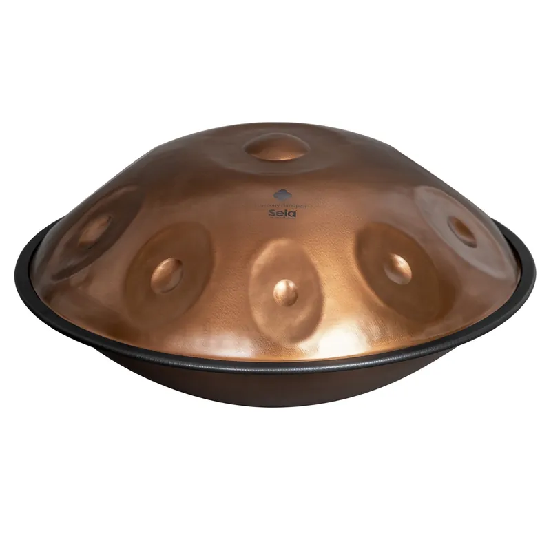 Schneller Versand Sela Handpan SE321 10 Töne D Amara (Phoenix Stahl)