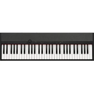 Versand Am Gleichen Tag Casio CT S1 BK