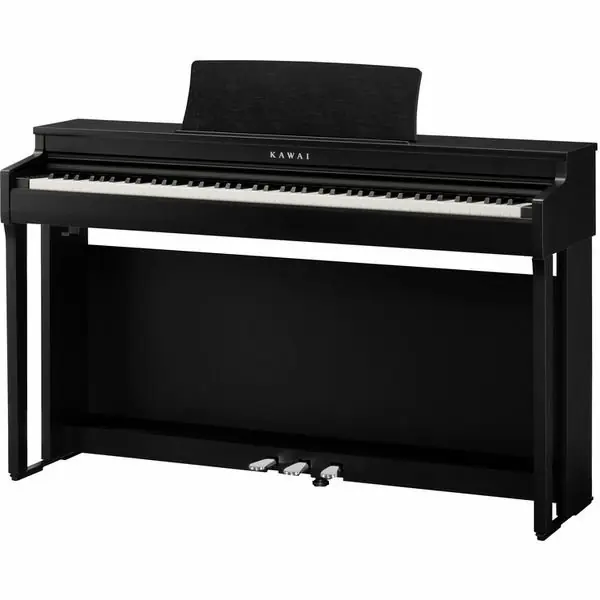 Garantierte Lieferung Kawai CN 201 BK