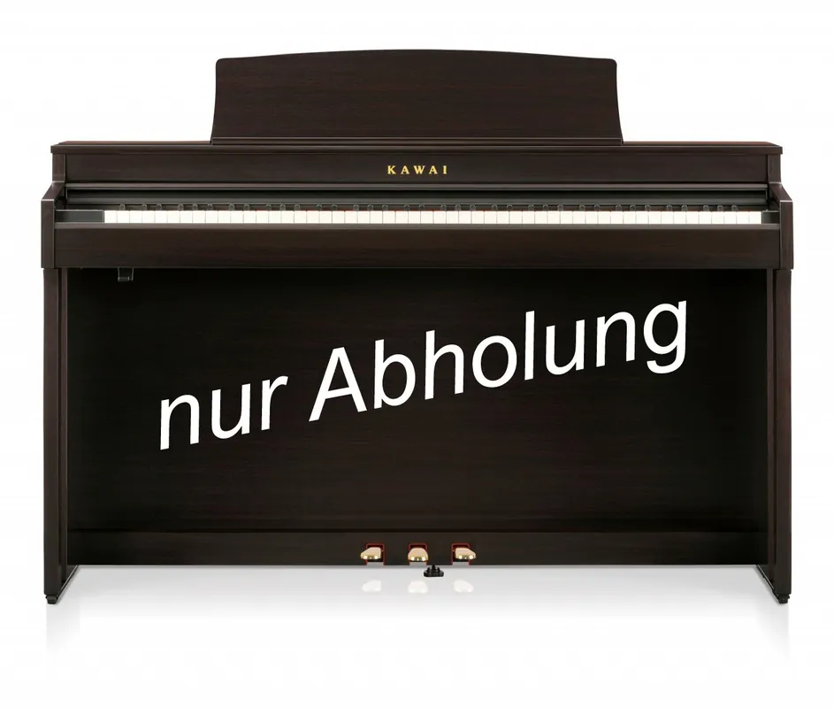 Aktuell Kawai CN301 R