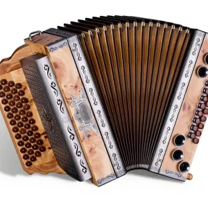 Müller Harmonika - Feld-Ulme - Topmodelle Letzte Chance