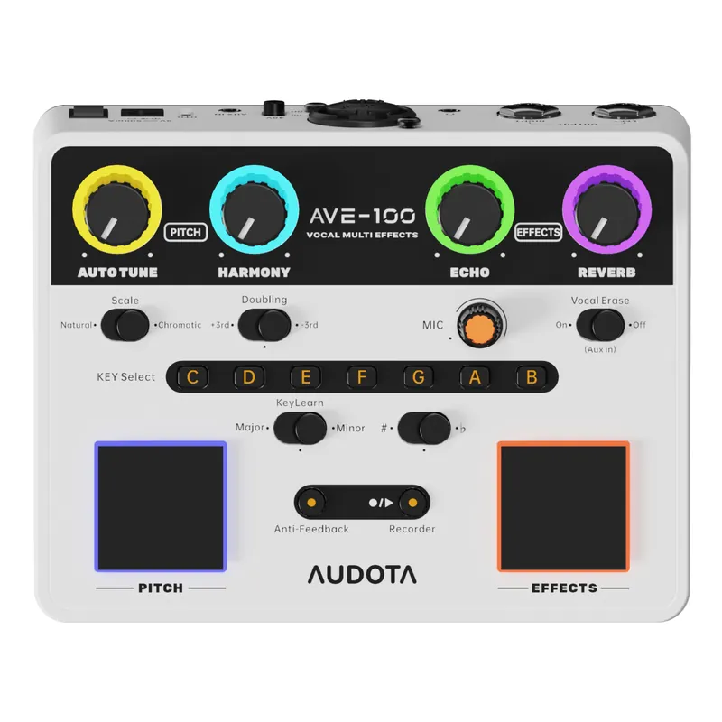 Audota AVE-100 Vocal Multi Effects Preisknaller