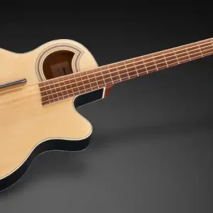 Warwick RockBass Alien Standard, 5-String - Natural Transparent Satin Preis Gesenkt