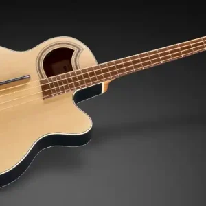 Schnäppchen Warwick RockBass Alien Standard, 4-String - Natural Transparent Satin