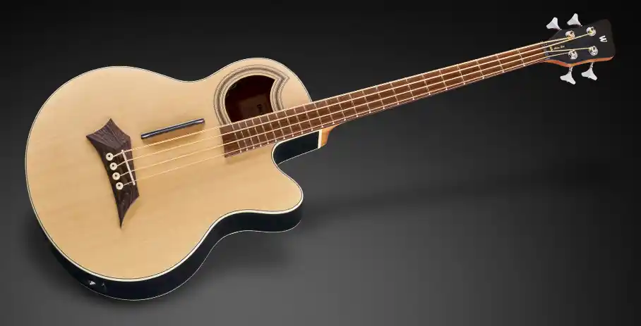Schnäppchen Warwick RockBass Alien Standard, 4-String - Natural Transparent Satin