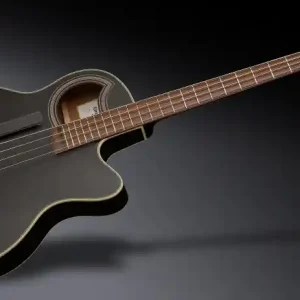 Warwick RockBass Alien Deluxe Hybrid Thinline, 4-String - Solid Black Satin Jetzt Bestellen