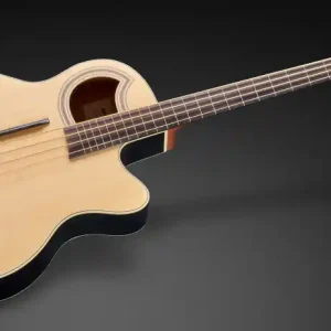 Preisknaller Warwick RockBass Alien Standard, 4-String, Fretless with Lines - Natural Transparent Satin