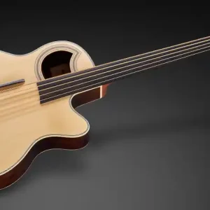Warwick RockBass Alien Deluxe, 5-String, Fretless - Natural Transparent Satin Neuheit