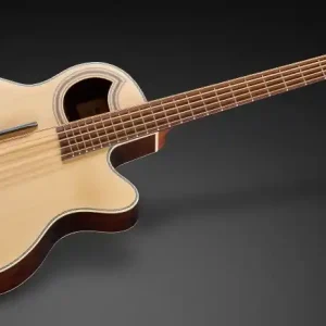 Nur Für Kurze Zeit Warwick RockBass Alien Deluxe, 5-String - Natural Transparent Satin