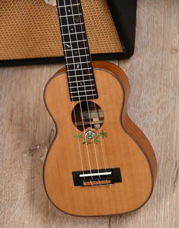 Leho LHUS-CSM-CEL Celebration Sopran Ukulele Zeder inkl. Gigbag Sichere Zahlung