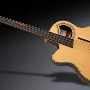 Warwick RockBass Alien Deluxe Hybrid Thinline, Lefthand, 4-String, Fretless - Natural Transparent Satin Bestseller