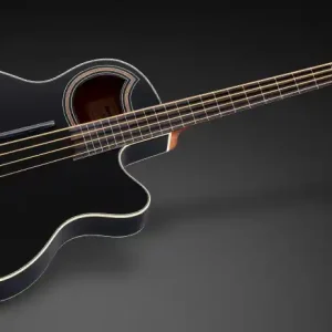 Schnäppchen Warwick RockBass Alien Standard, 4-String, Fretless with Lines - Solid Black Satin