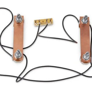 MEC Passive Electronics for Passive Pickups (Vol / Vol / Tone / Tone) w/ Toggle Switch - Chrome Versand Am Gleichen Tag