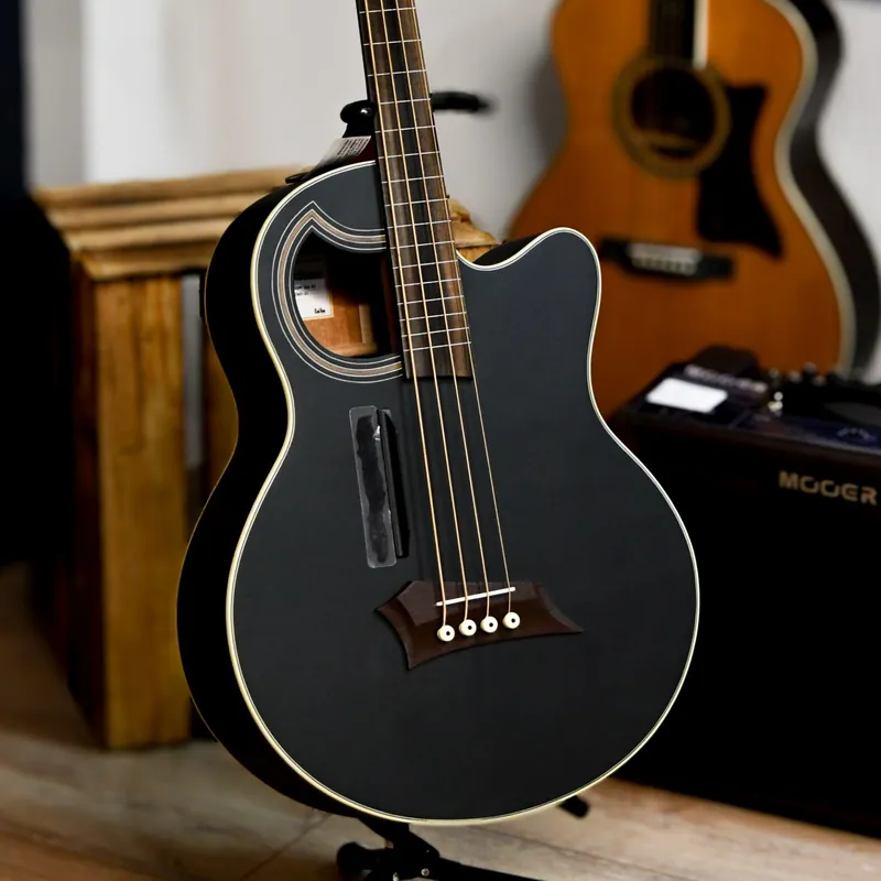 Nur Für Kurze Zeit Warwick RockBass Alien Standard, 4-String, Fretless with Lines - Solid Black Satin