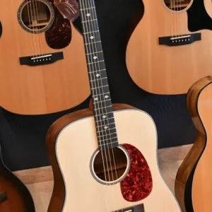 Jetzt Bestellen Charlesville Acoustic D-WL Dreadnought Westerngitarre