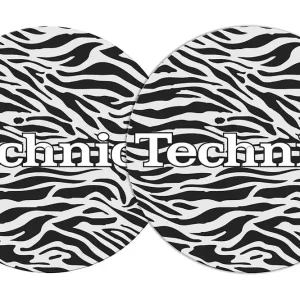 Schnäppchen 2x Slipmats - Technics - Zebra