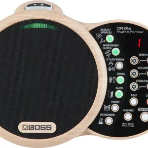Versand Am Gleichen Tag Boss DR-01S